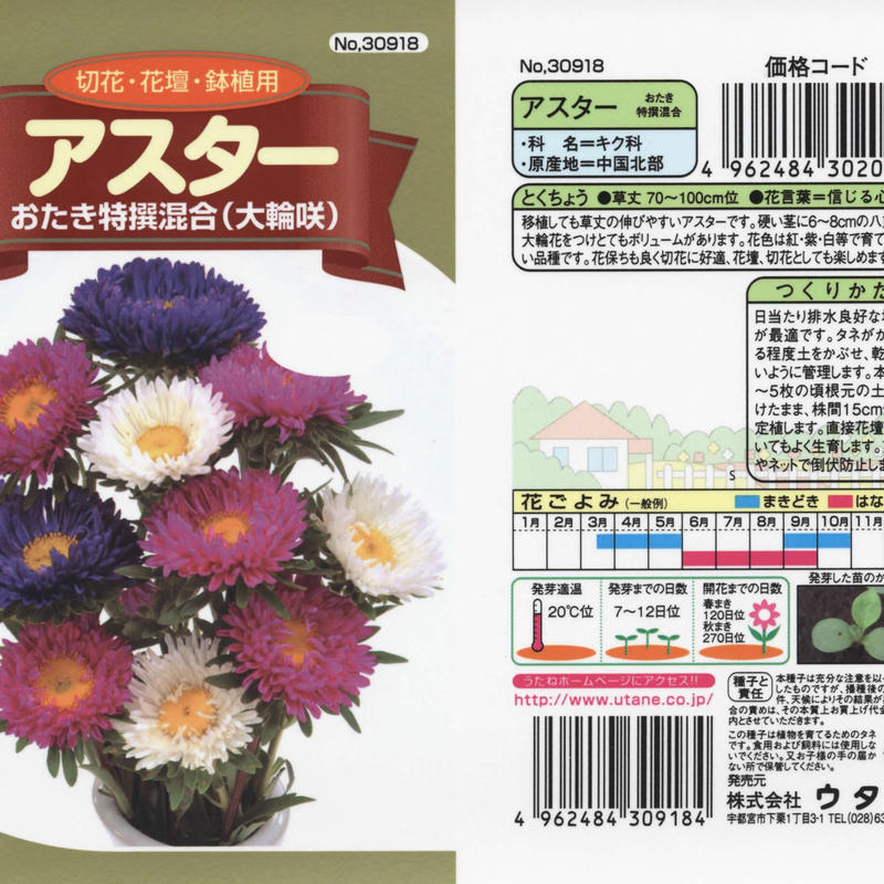 アスターおたき混合 送料込 種セット 5g ギフト 花さんぽ 種子 アー