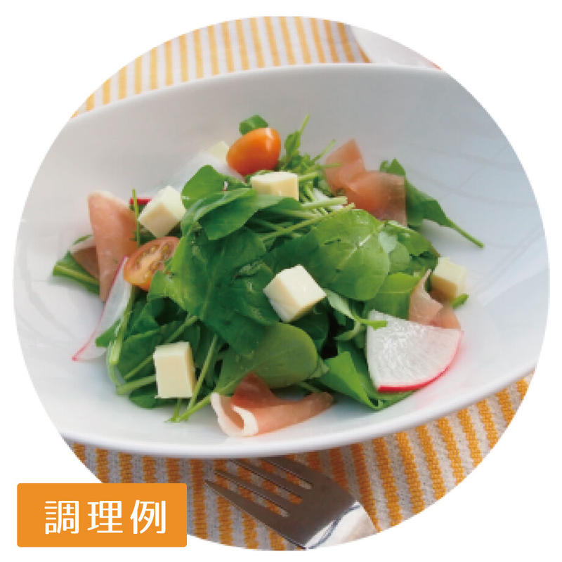 Natural Farm カンタン栽培キット サラダルッコラ 栽培セット 花さんぽ 種子