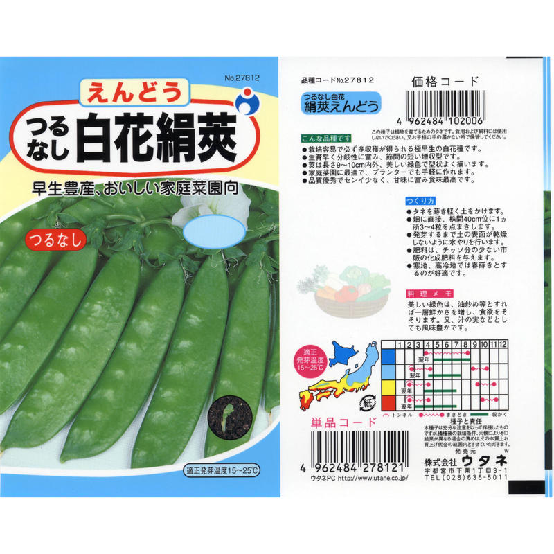 つるなし白花きぬさやえんどう豆 送料込 24g ギフト 花さんぽ 種子