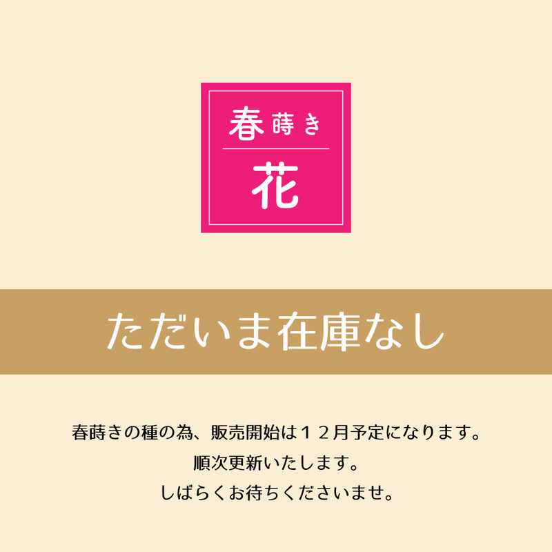 長寿祝いセット ジニア ダリヤ 千日紅 送料込 種セット 13g ギフト 花さんぽ