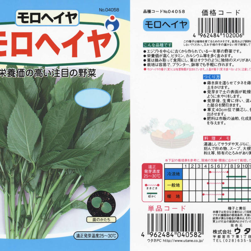 便秘解消どっさりセット ごぼう にら モロヘイヤ 送料込 種セット g ギフト 15