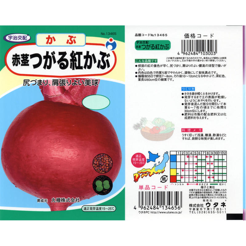 宇治交配つがる紅かぶ 送料込 3g 花さんぽ 種子 アートフラワー 栽