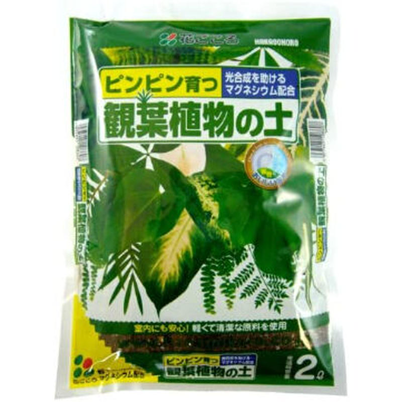 観葉植物の土 ２ｌ 観葉植物 用土 オーガスタ ウンベラータ Asahipen Diy