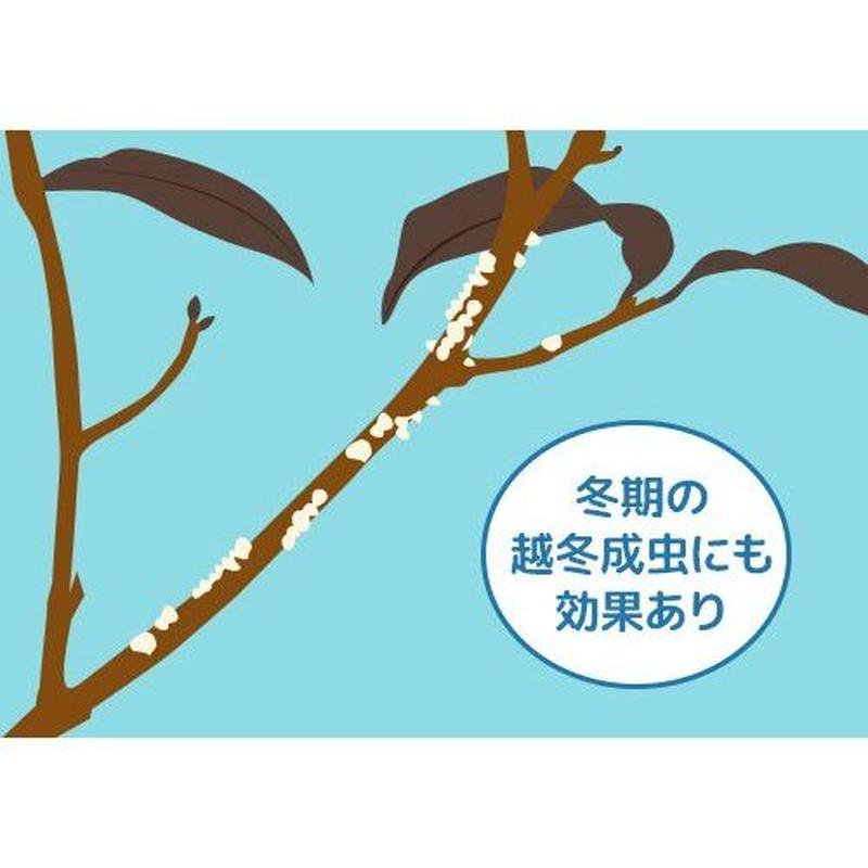 カイガラムシエアゾール ４８０ｍｌ 殺虫剤 Asahipen Diy Garden