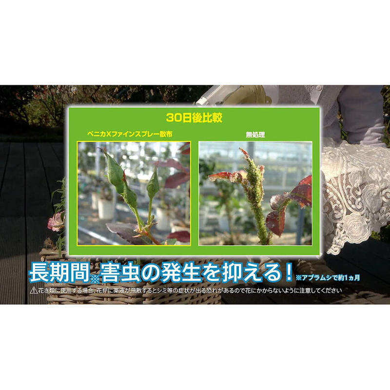 ベニカｘファインスプレー １０００ml 殺虫剤 殺菌剤 アブラムシ ハダニ カマドウマ 黒星病
