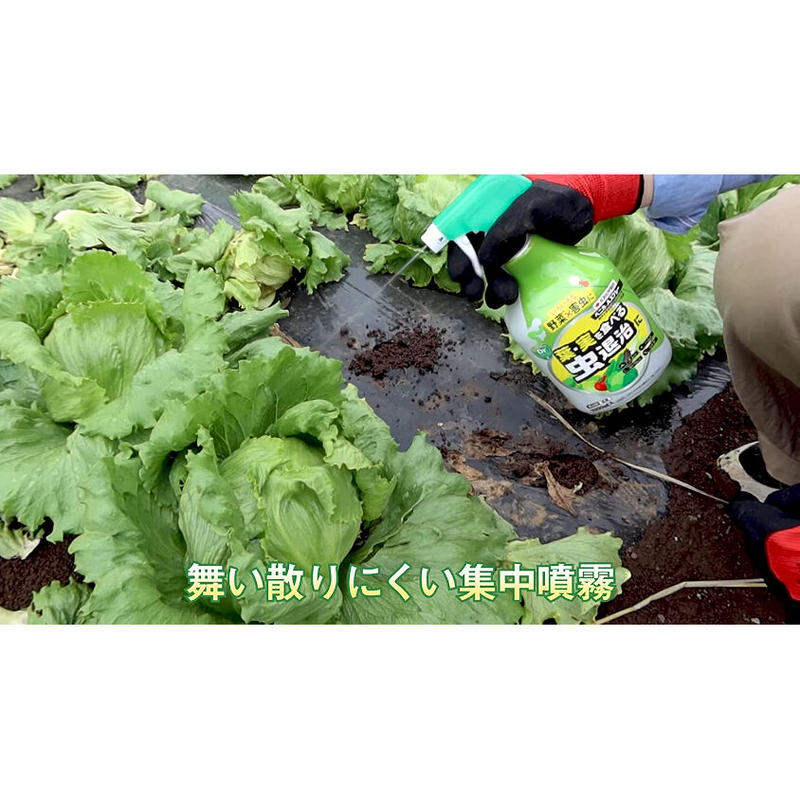 殺虫剤 ベニカaスプレー1000ml 住友化学園芸 家庭菜園 ベジガーデン 青虫 コナガ