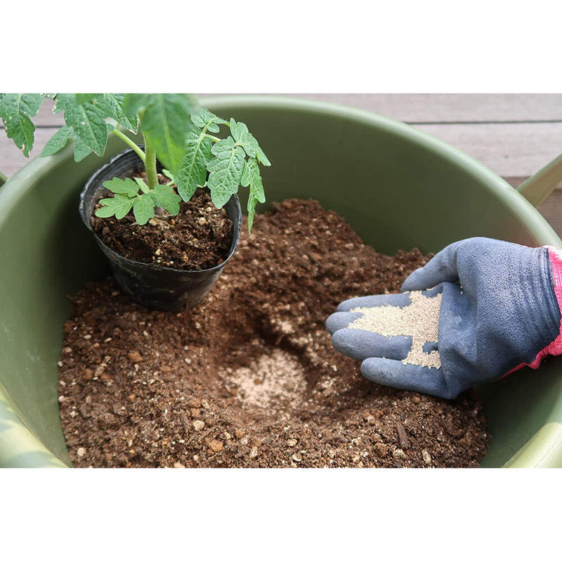 ベニカｘガード粒剤 ５５０g ガーデニング 家庭菜園 殺虫剤 殺菌剤 Asahipen D