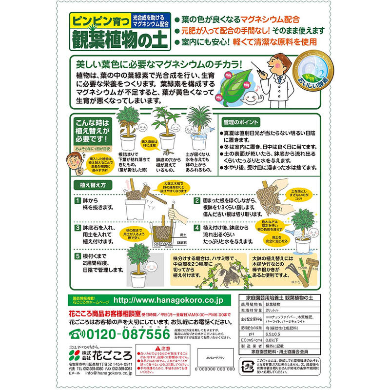 観葉植物の土 ２ｌ 観葉植物 用土 オーガスタ ウンベラータ Asahipen Diy