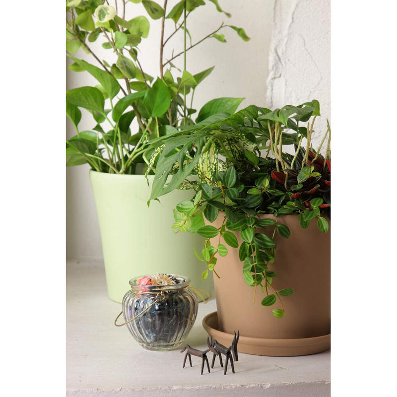 コティポット 190型 ブラウン アップルウェアー 植木鉢 プランター 観葉植物 Asah