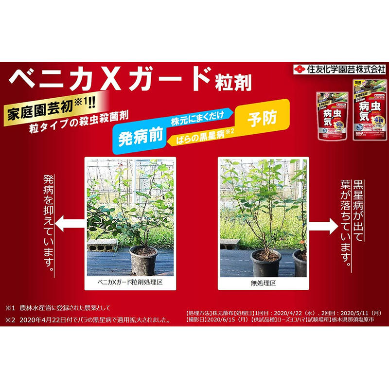 ベニカXガード粒剤|250g|殺虫剤 殺菌剤 | ASAHIPEN DIY GARDEN ベニカXガード粒剤|250g|殺虫剤 殺菌剤 | ASAHIPEN DIY GARDEN
