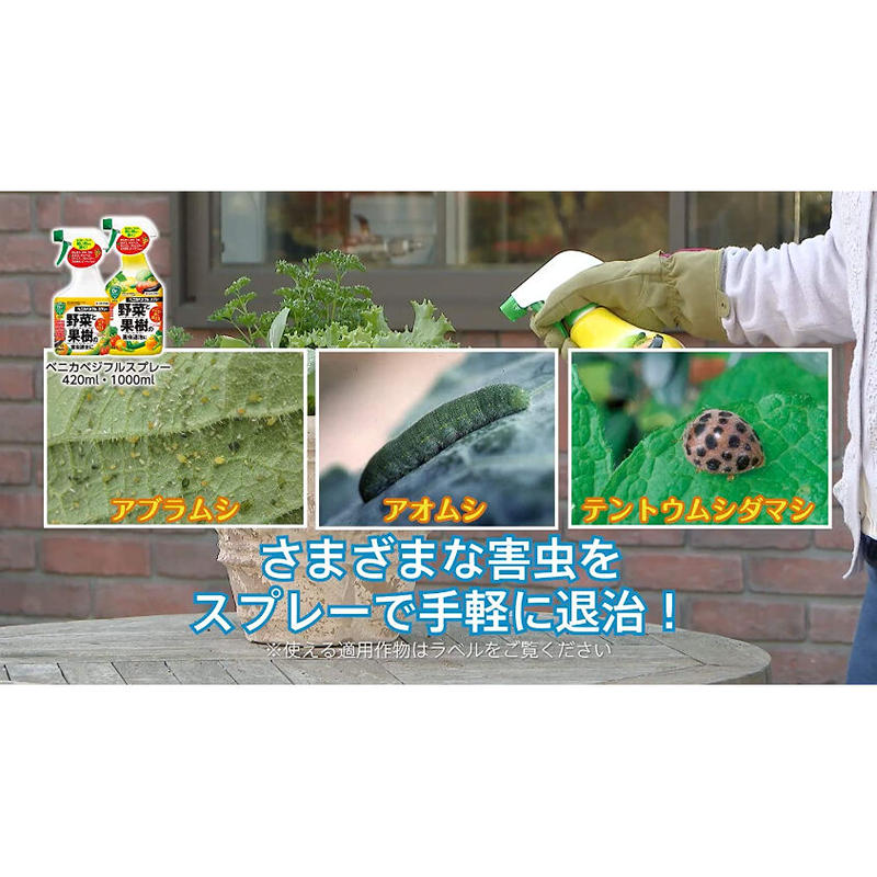 ベニカベジフルスプレー|1000ML 殺虫剤 防虫剤 | ASAHIPEN DIY GARDEN ベニカベジフルスプレー|1000ML 殺虫剤 防虫剤 | ASAHIPEN DIY GARDEN