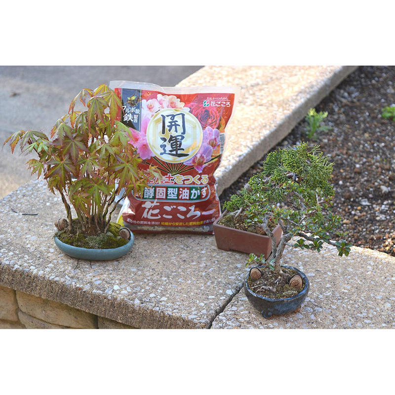 花ごころ 中粒 1 8kg 肥料 油かす 盆栽 花 Asahipen Diy Garden 花ごころ 中粒 1 8kg 肥料 油かす 盆栽 花 Asahipen Diy Garden