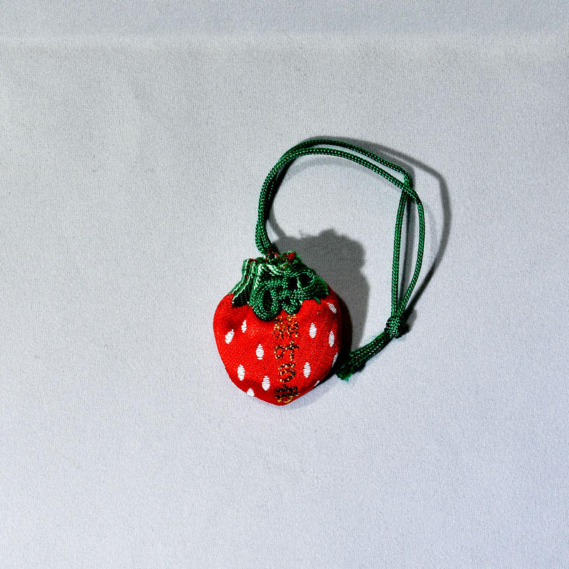 リピーター様（いちご様）のオプション追加の出品です（護符　お守り） リピーター様（いちご様）のオプション追加の出品です（護符 お守り