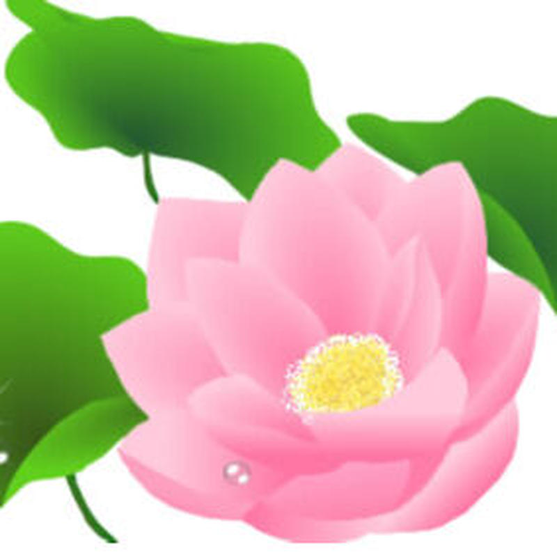 フェイスブック専用 お支払い場所 オリジナルヒーリング蓮の風