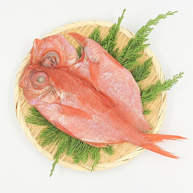 大金目鯛の干物 お土産屋 初島やまさ