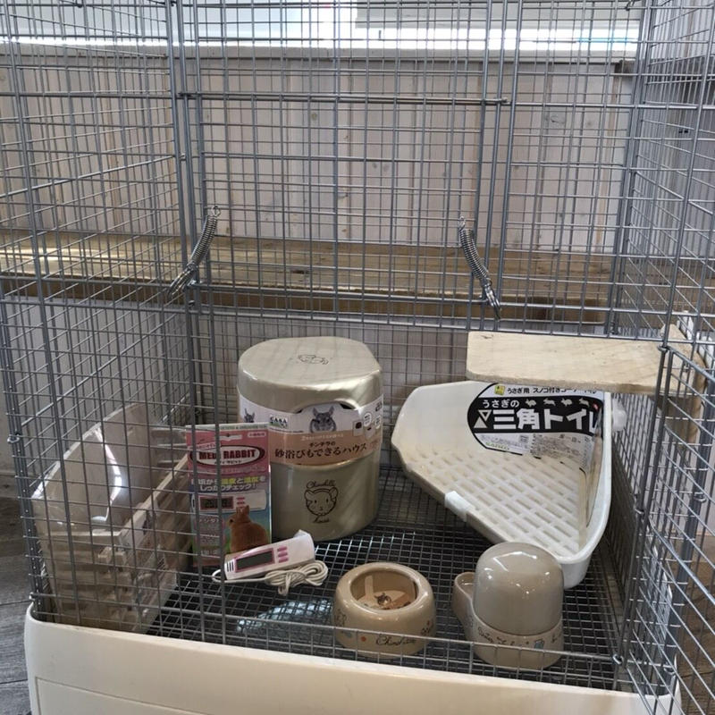 数量限定 Harryテラス店おすすめ チンチラ飼育セット ハリネズミカフェharry 数量限定 Harryテラス店おすすめ チンチラ飼育セット ハリネズミカフェharry