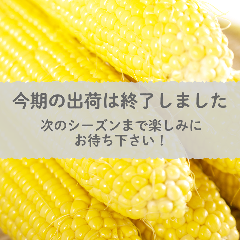 愛知県碧南市産】とうもろこし(スイートコーン)『味来』5㎏箱・ 15本入 | JAあいち中央...