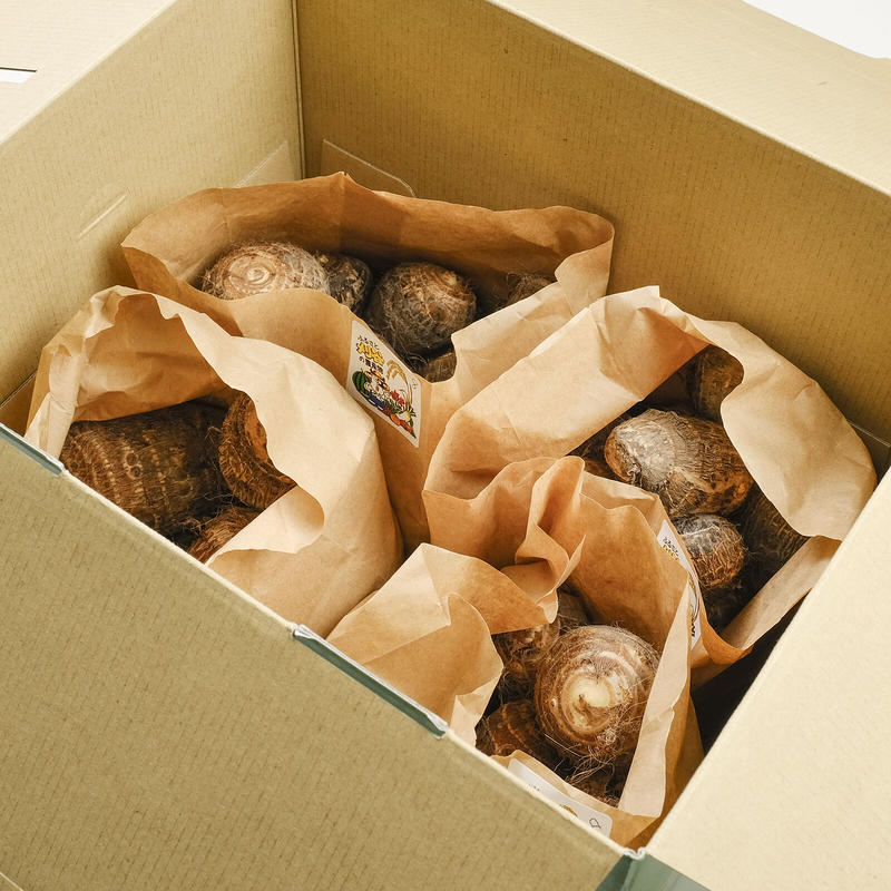炊飯器さま専用 土付き里芋 種芋にも 箱込み25kg愛知県産 販売されてい