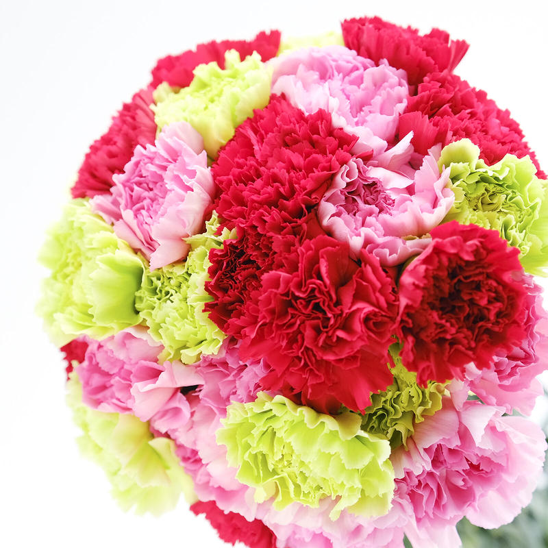 愛知県碧南市産 へきなんの花 カーネーション 一輪咲 3色ミックス75本 1色25本束 3