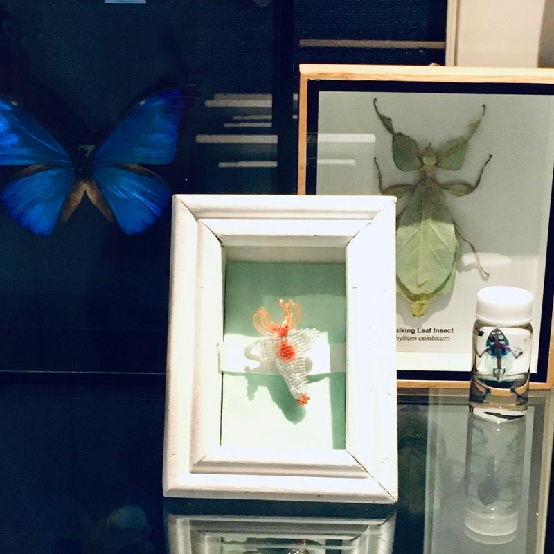 Jiss クリオネ バッカルコーン ビーズ刺繍ブローチ へんてこ屋 通販