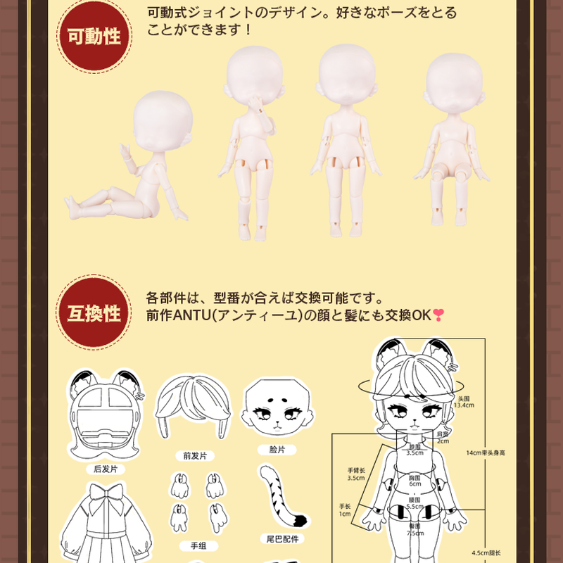 予約販売 2月下旬 3月中旬 お届け予定 Penny S Box オリジナル ペニー学園 学