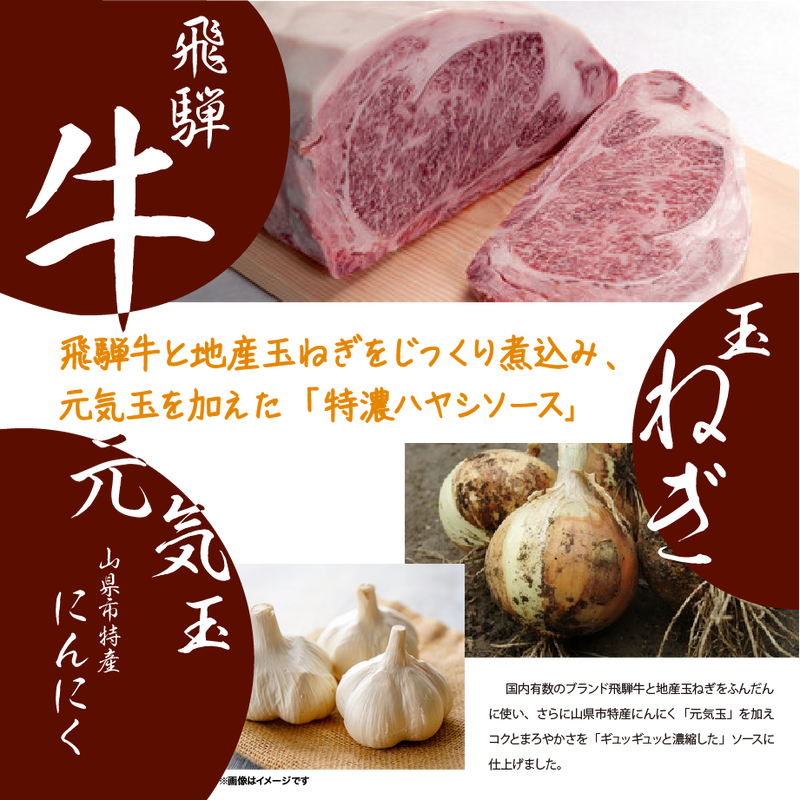 山県地産 元気玉入り山県ハヤシ お徳用５袋パック ひめよし商店