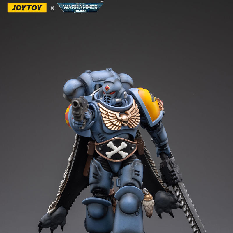 Pro painted space wolves ウォーハンマー 40k | www.cuadrangular.org