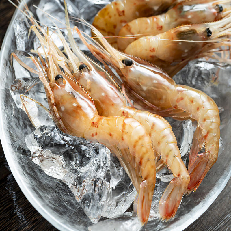 期間限定価格 カネシメ髙橋水産 通販 船上氷結ボタンエビ オス メス食べ比べ1キロ 約17