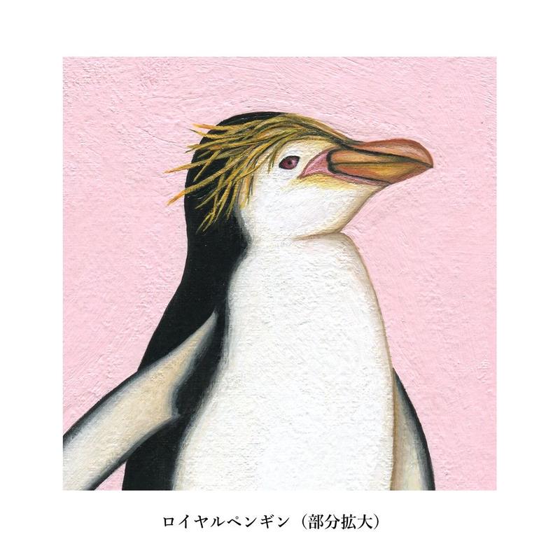 日本未発売 イラスト イワトビペンギン 原画 Caro Residence Ro