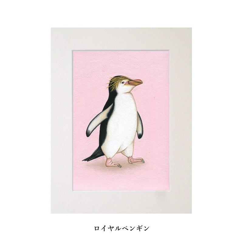 ペンギン原画３種類 マット付き 画家 浅羽容子 心しか泊まれないホテルの想い出