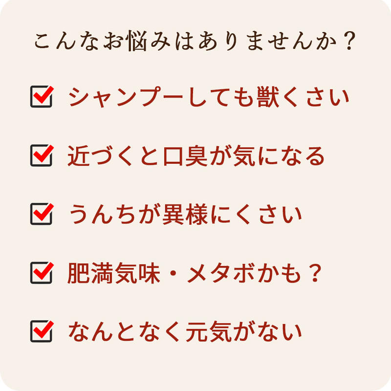 4パックセット 犬用おやつ 口臭 体臭が気になる愛犬に緑茶葉粉末配合カテキンジャーキー 10