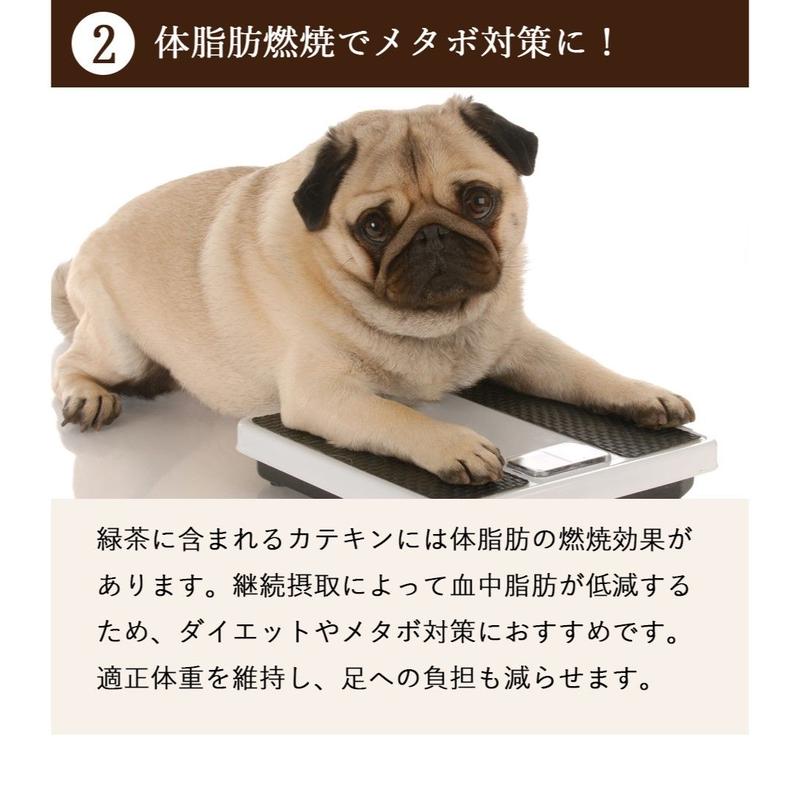 犬用おやつ 口臭 体臭が気になる愛犬に緑茶葉粉末配合カテキンジャーキー 100g入 ペッ