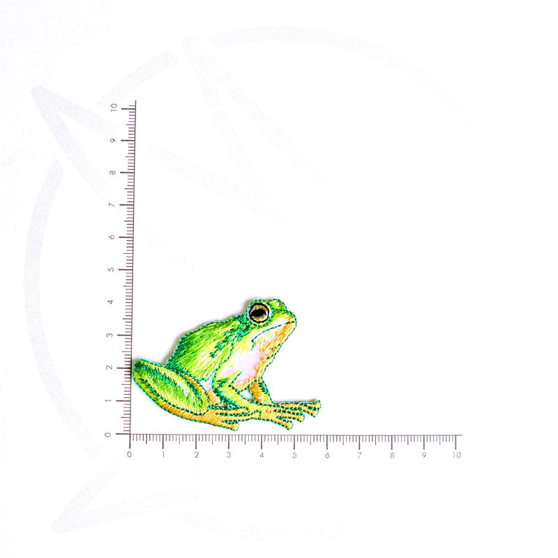 アイロンワッペン アマガエル 蛙 Frog アメリカ Humming Bird横浜 ル
