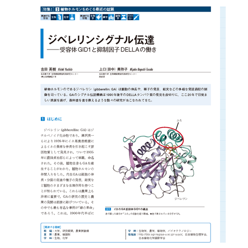 16年9月発行号 特集i 上口 美弥子 氏 生物の科学 遺伝 オンラインストア Ide
