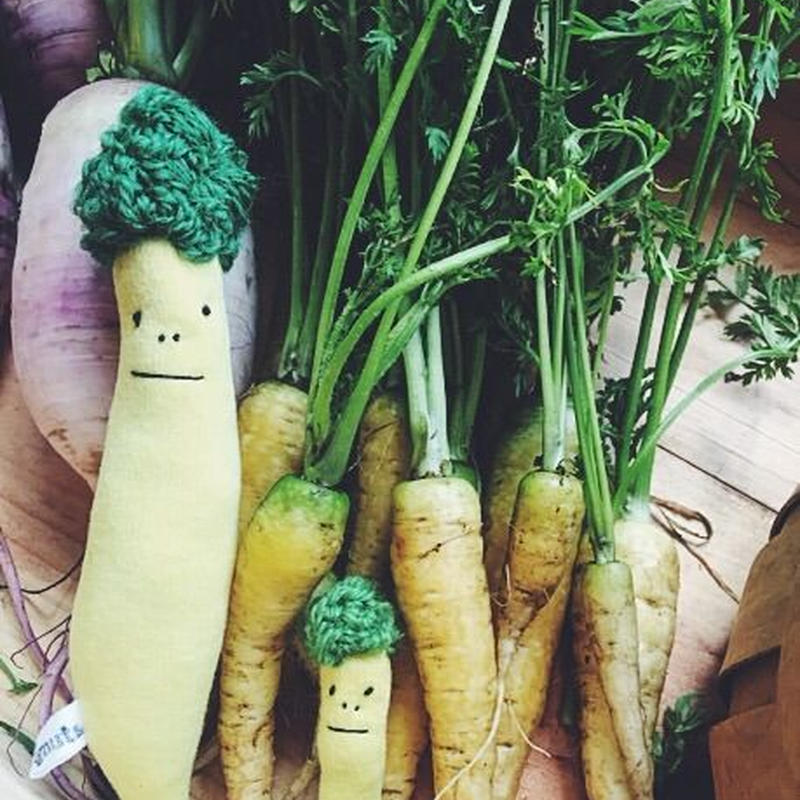 きいろにんじんちゃん 鎌倉野菜 Ignuts