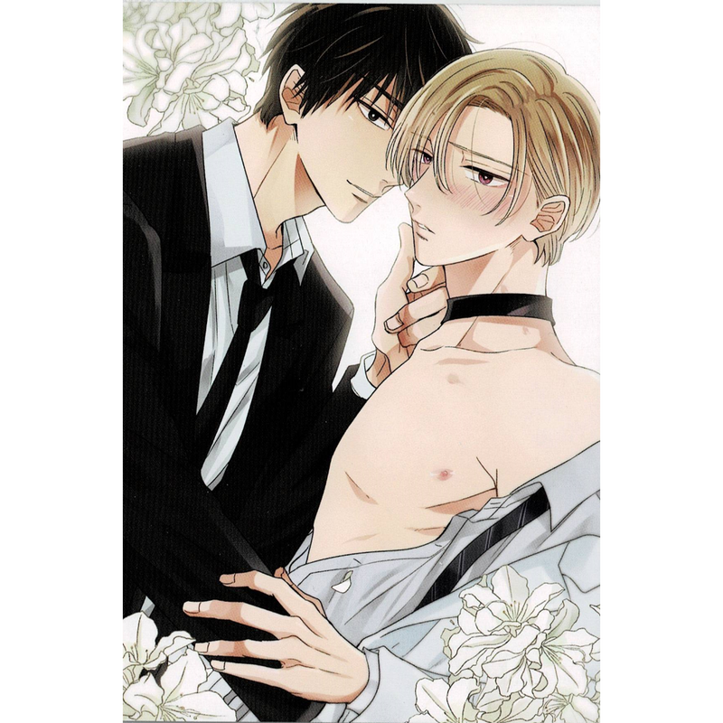 町田とまと 秘密のwは運命に溺れる イラストカード Blグッズ K Books 池袋 ２