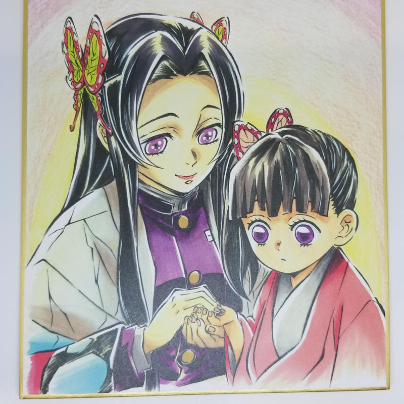 通販特価 美品 全集中 柱合会議 栗花落カナヲ 胡蝶カナエ 蝶屋敷編 複製ミニ色紙 鬼滅の刃 C84c48d7 日本公式オンラインストア Feb Ulb Ac Id