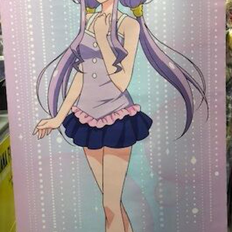 Hugっと プリキュア プリティストア出張版inマルイ 等身大ビッグビーチタペストリー ルール