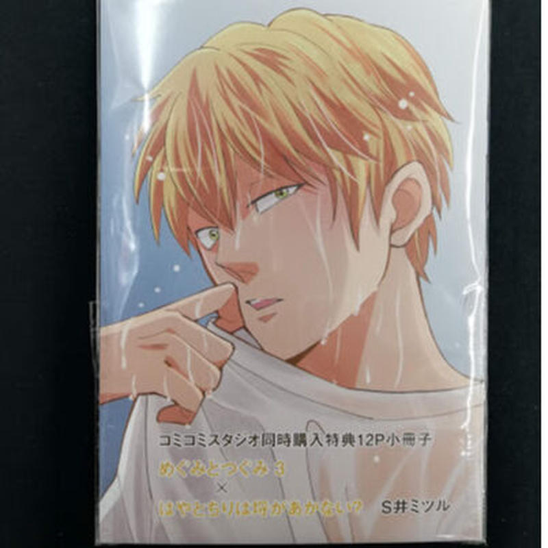 S井ミツル めぐみとつぐみ 小冊子 Blグッズ K Books 池袋 ２次元グッズ通販