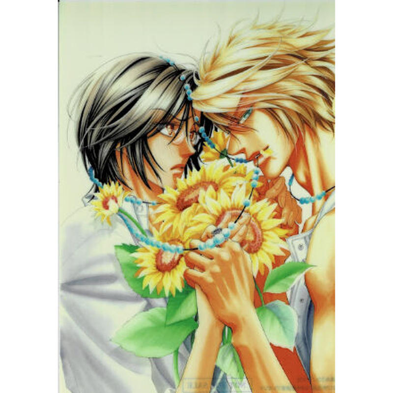 島あさひ 輝き じゃない クリアファイル Blグッズ K Books 池袋 ２次元グッズ通販