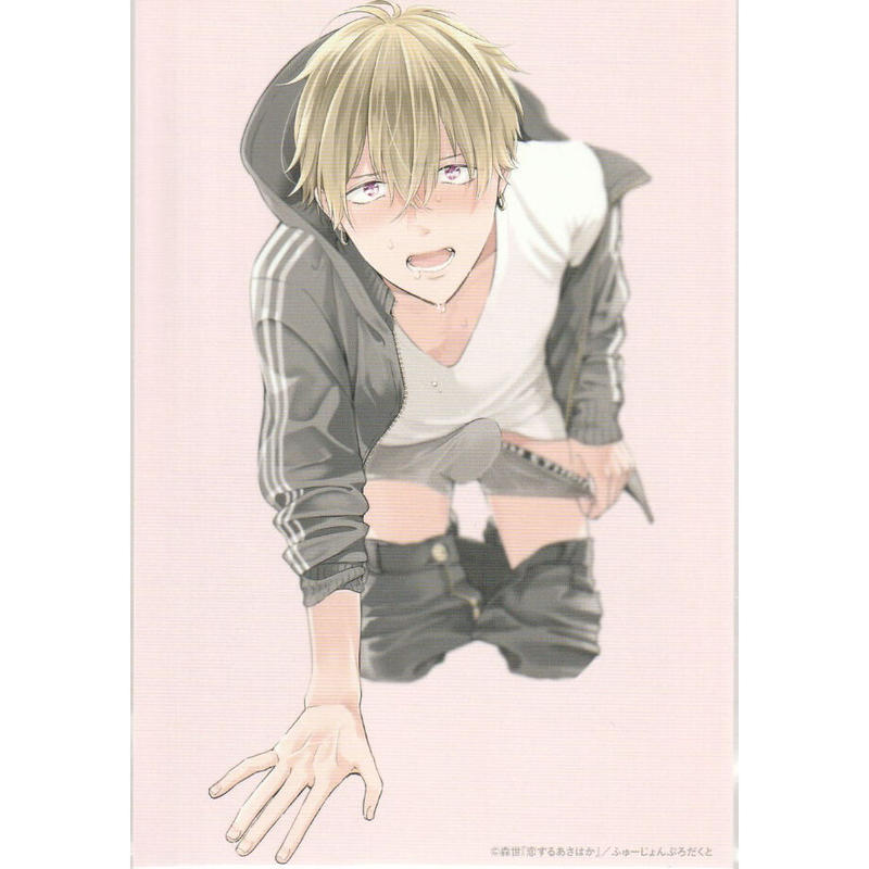 森世 恋するあさはか かしましティーパーティー イラストカード Blグッズ K B