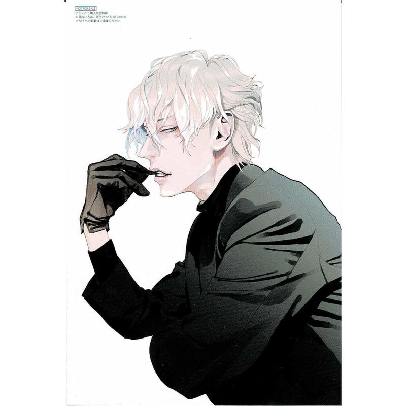 芽玖いろは 喪服の花嫁 アニメイト特典 イラストカード Blグッズ K Books