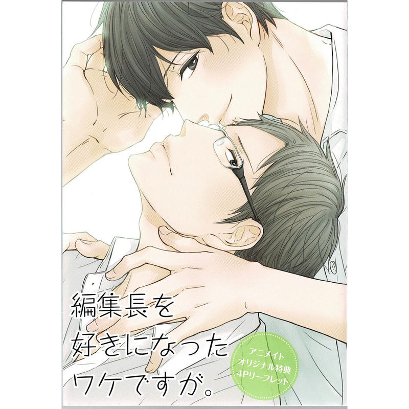 千葉リョウコ 編集長を好きになったワケですが リーフレット Blグッズ K Bo