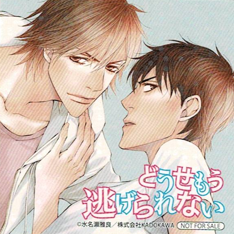 水名瀬雅良 どうせもう逃げられない ステッカー Blグッズ K Books 池袋 ２次元