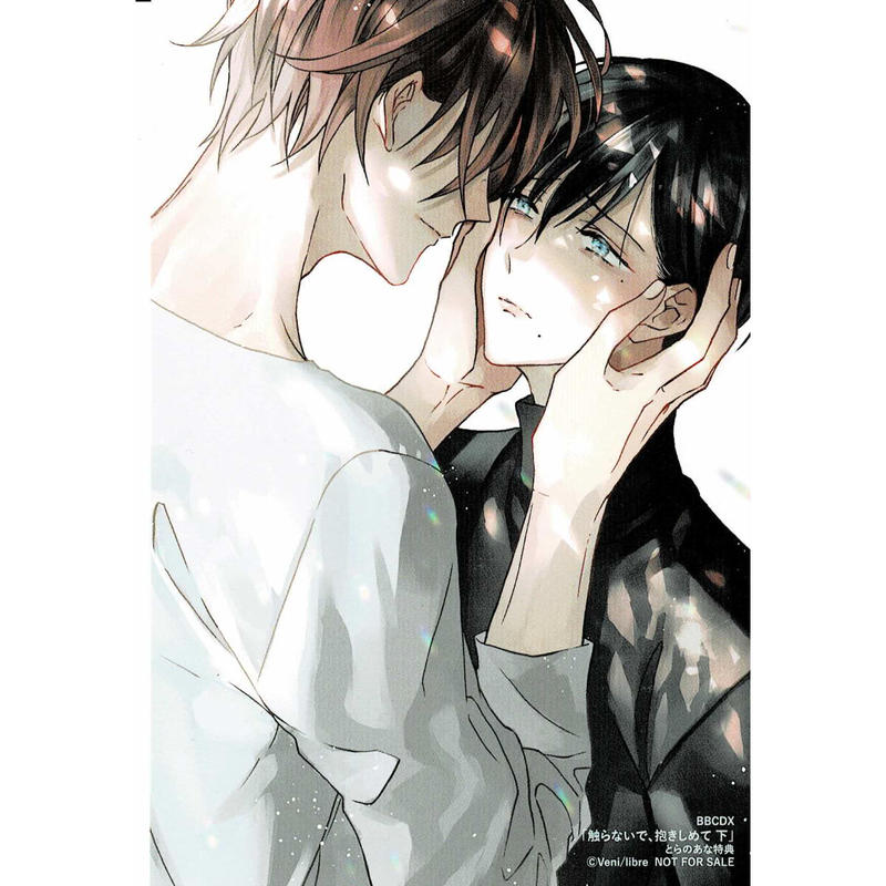 紅 触らないで 抱きしめて 下 とらのあな特典 イラストカード Blグッズ K B