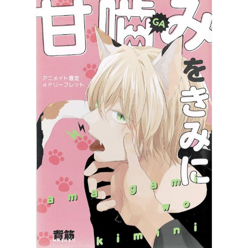 背筋 甘嚙みをきみに アニメイト特典 リーフレット Blグッズ K Books