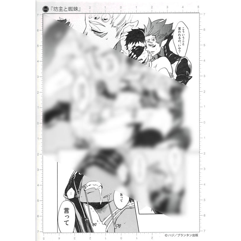 ハジ 坊主と蜘蛛 複製漫画原稿 Blグッズ K Books 池袋 ２次元グッズ通販