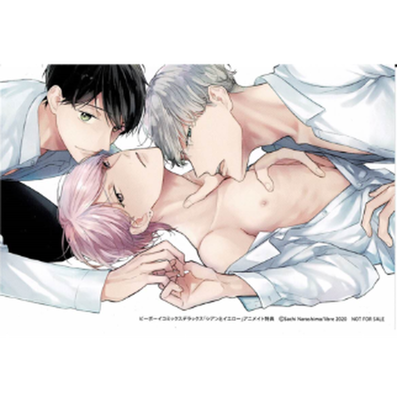 楢島さち シアンとイエロー アニメイト特典 イラストカード Blグッズ K Book