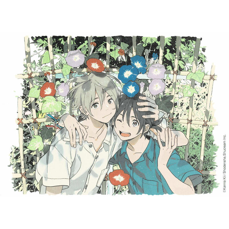 紀伊カンナ 海辺のエトランゼ イラストカードセット Blグッズ K Books 池袋 ２