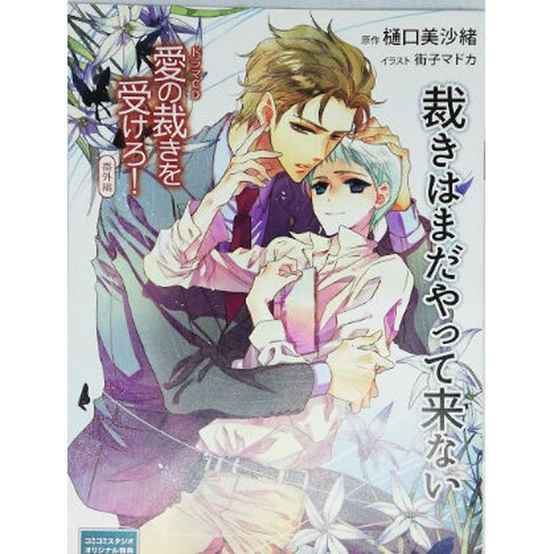 樋口美沙緒 街子マドカ ドラマcd愛の裁きを受けろ 番外編 裁きはまだやって来ない 小冊子 B